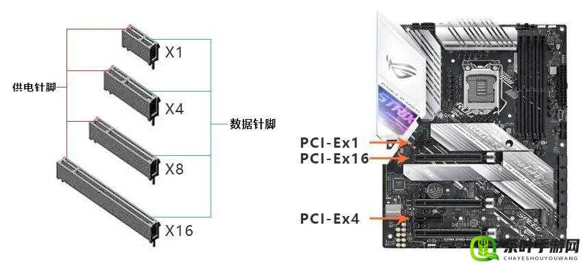 插槽 x 插槽 y：关于它们的详细介绍与具体应用场景探讨