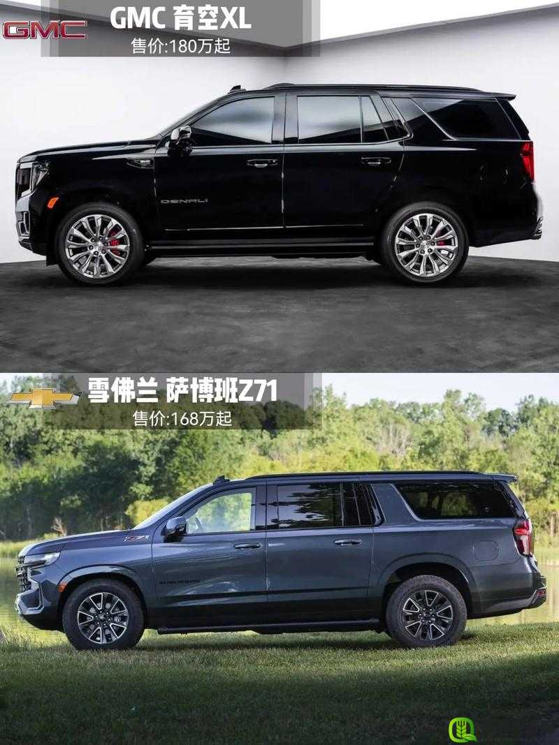 国产 SUV 界的巨无霸：尺码最大的国产 SUV 震撼登场